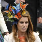 Classic Forms: Fascinators