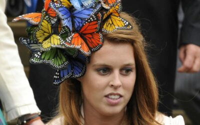 Classic Forms: Fascinators