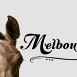 EVENTS: The Melbourne Cup
