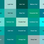 Colors: Teal