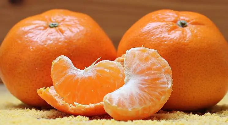 Colors: RED & ORANGE & YELLOW