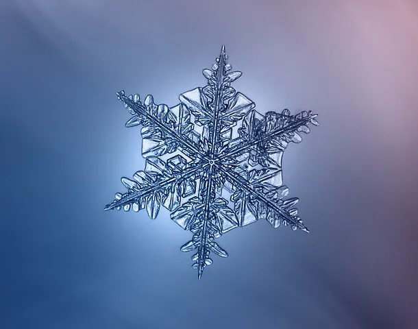 Winter Events 2027